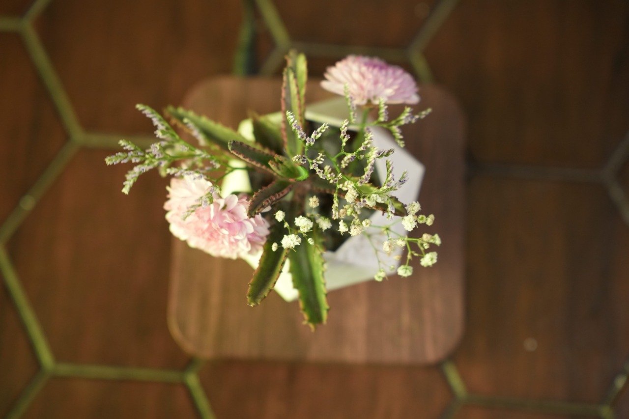 Floating Tree side view