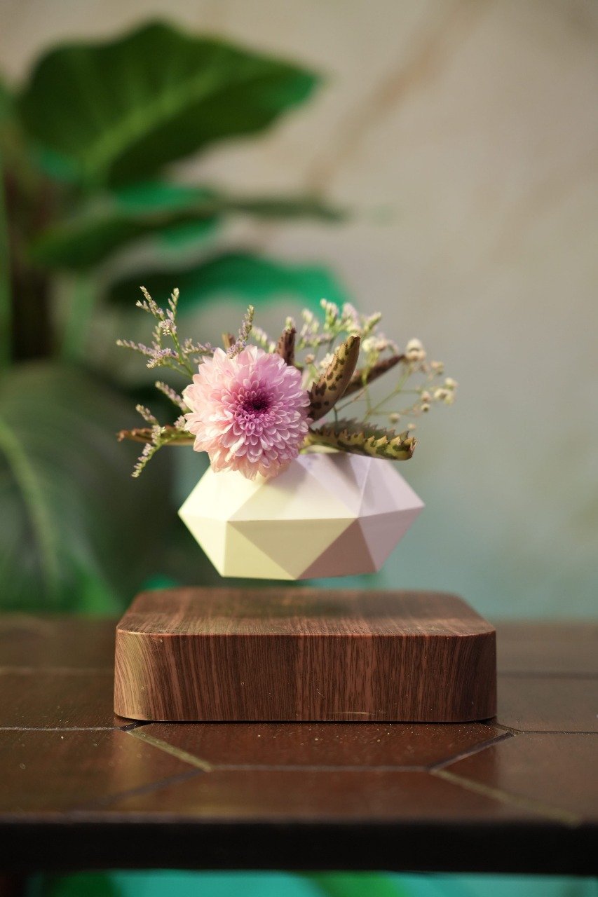 Floating Tree in room setting